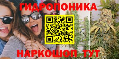 Альфа ПВП Чапаевск