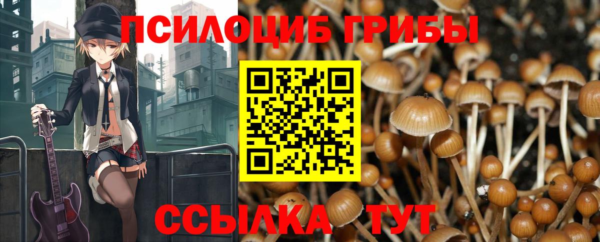 Барнаул  Псилоцибиновые грибы GOLDEN TEACHER  Вход с VPN  Галлюциногенные грибы Cubensis 